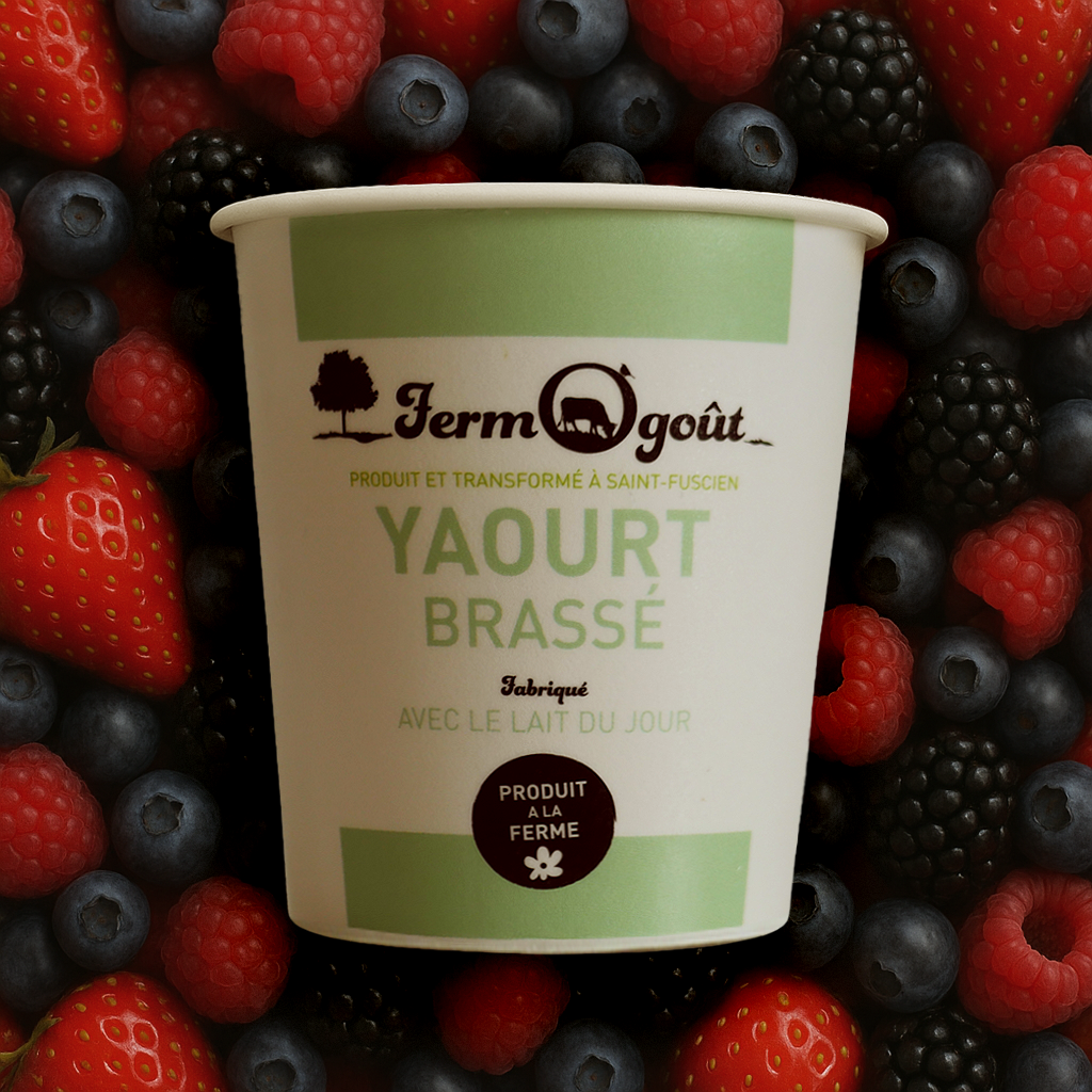 Yaourt  Fruits des Bois 125gr